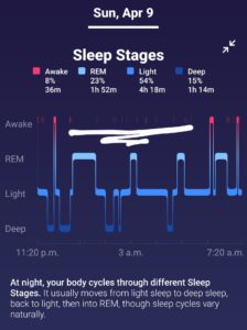 Sleep Stages