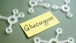 glucagon